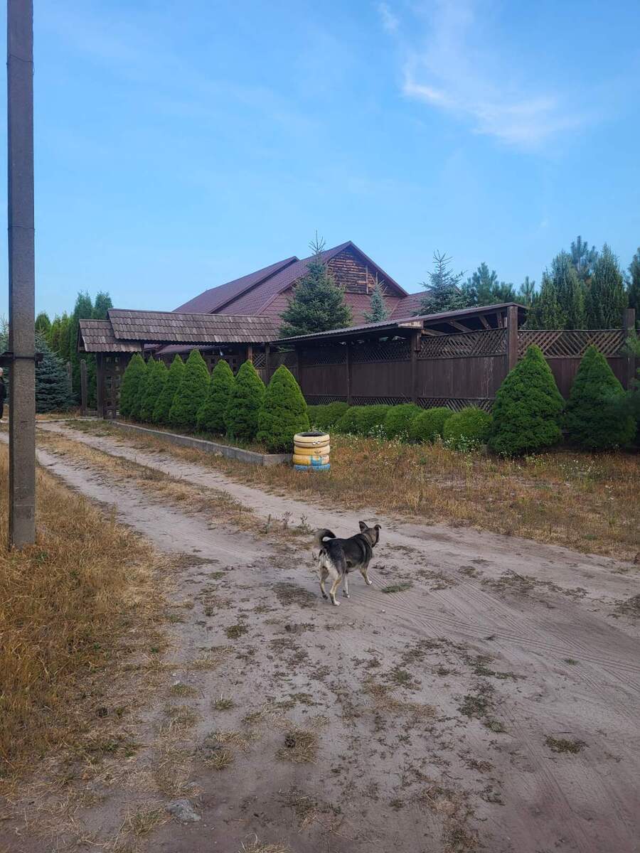 Миронівка, Россава комплекс відпочинку, виробництво, ліс, гарне тихе місце