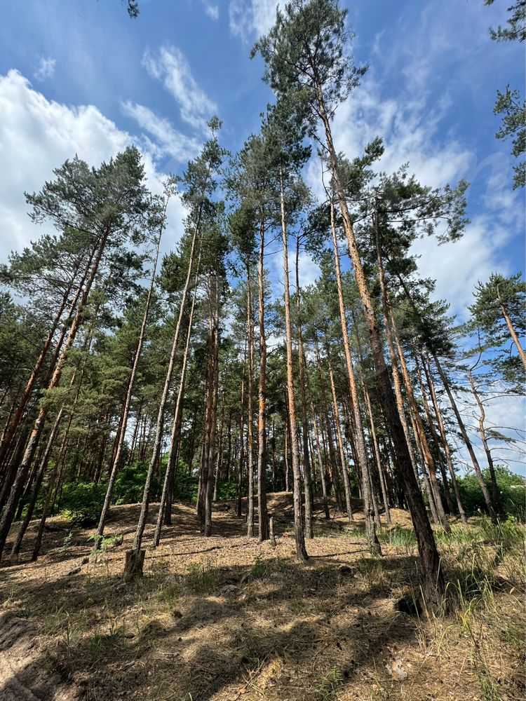 Продам  ділянку під житлову забудову Бориспільський, Проців, Хутірська. 