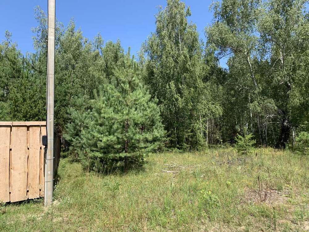 Продам  ділянку під житлову забудову Вишгородський, Хотянівка, Лесная. 