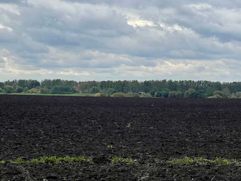 Продам  землю с/г призначення Житомир, Піски, Пісківська с/р. 