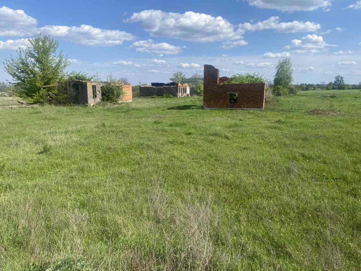 Продам  ділянку під житлову забудову Брусилівський, Брусилів, Містечко. 