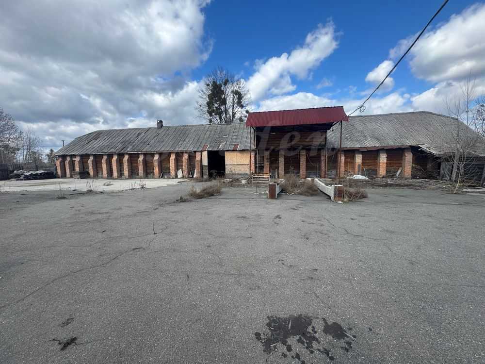 Продам  торгову площу Вишгородський, Коленці, Кибенка Віктора, 6. 