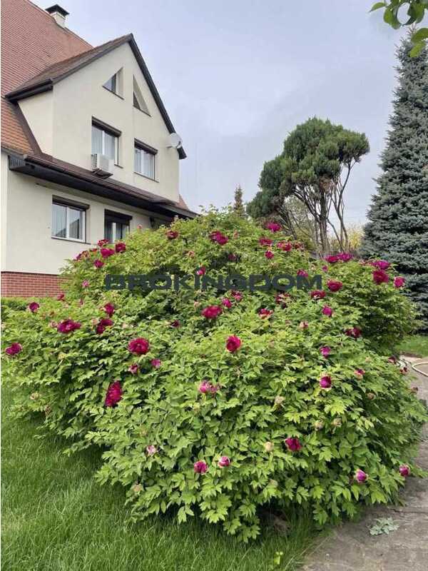 Продам 6-к дім Бучанський, Крюківщина, Кільцева , 12. 