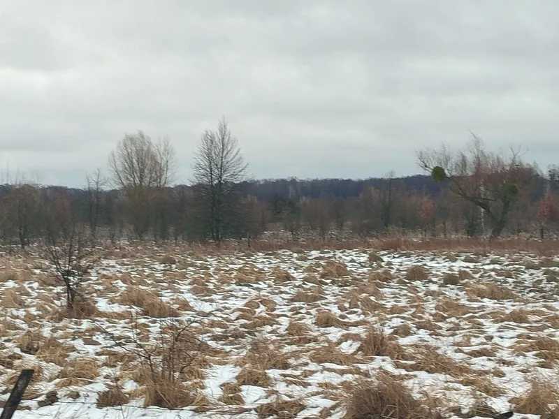 Продам  землю с/г призначення Бориспільський, Сошників, Нова. 