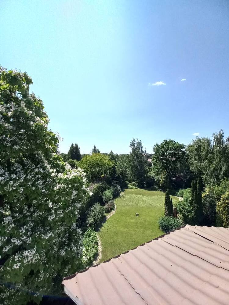 Продам дом в с.Иванковичи, с мебелью. В престижном месте возле леса.