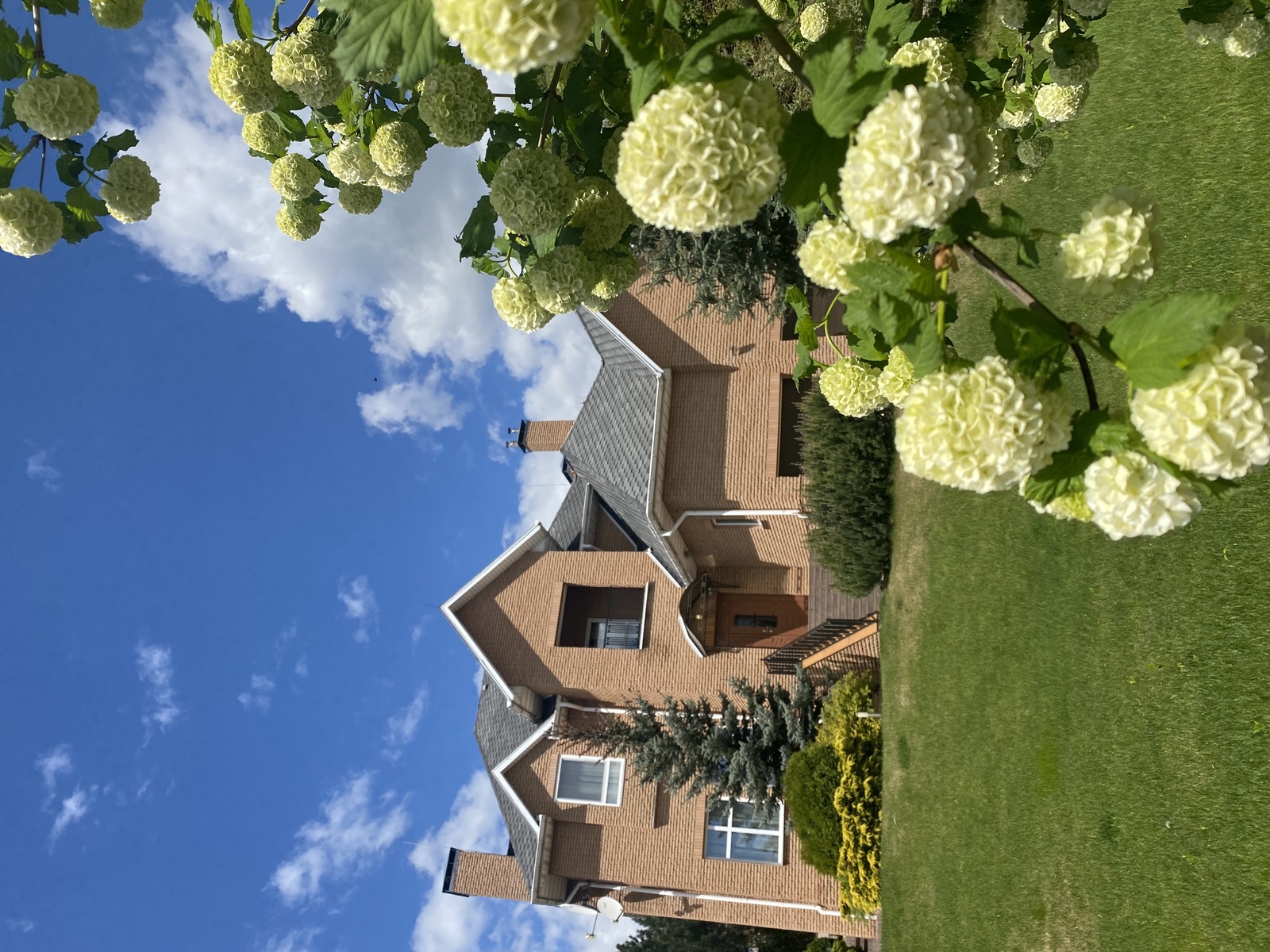 Котедж в Лісниках (новообухівська траса, 5 км до Києва) з генератором!