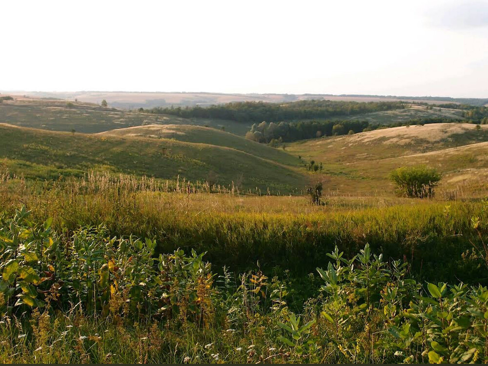 Продається мальовнича ділянка 46 соток у Щербанівці поруч Трипілля Українка.