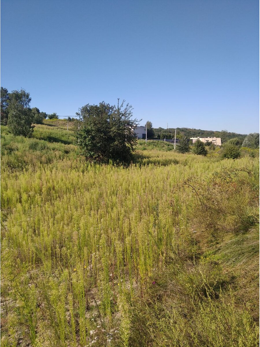 Продам ділянку 12сот с. Іванковичі  метро Теремки -20 км