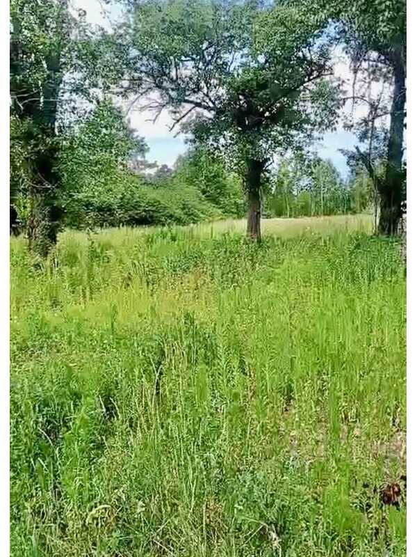 Продам 3-к дім Вишгородський, Жукин, Коцюбинського, 5. 