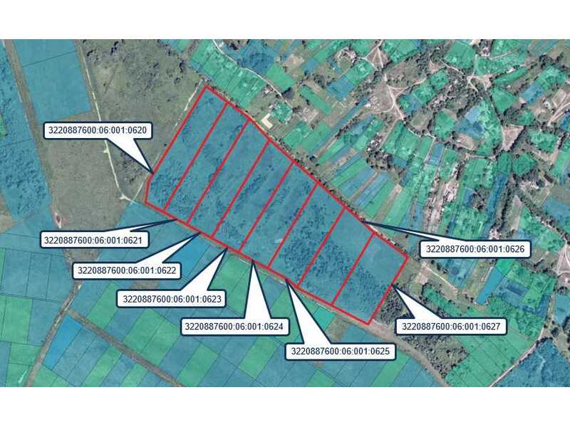 Продам  землю с/г призначення Бориспільський, Старе, Старівська с/р. 