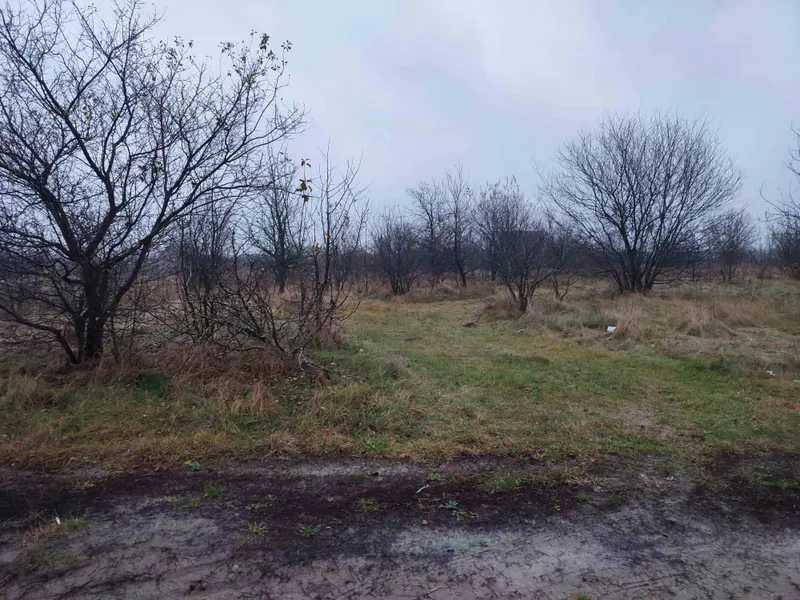 Продам  землю с/г призначення Жовківський, Нова Кам`янка, Садова, 25. 