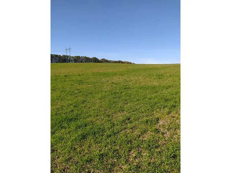 Продам  землю с/г призначення Обухівський, Підгірці, Нова. 