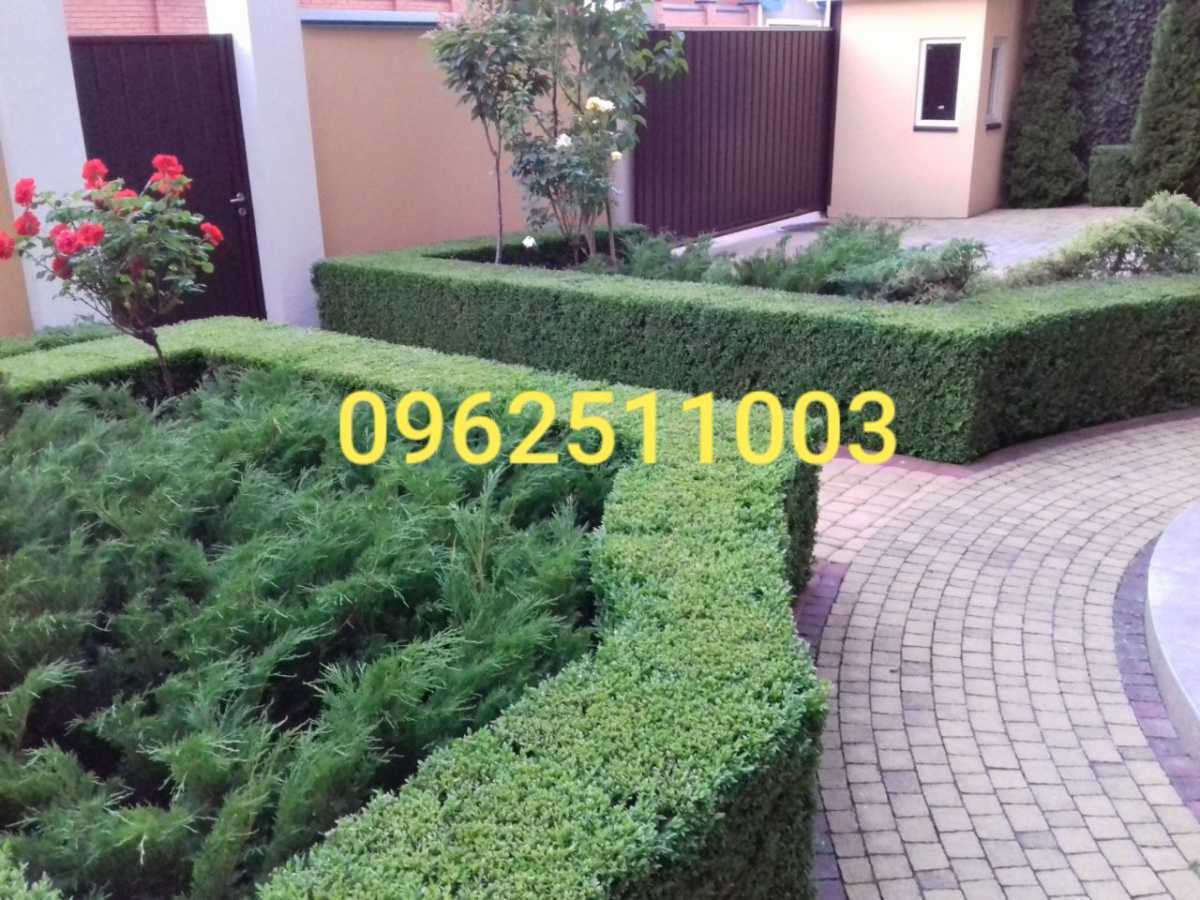 Здам довгостроково 10-к дім Київ, Печерський, вул. Редутна. 