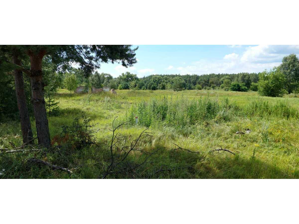 Продам  землю с/г призначення Козелецький, Остер, Одинця. 