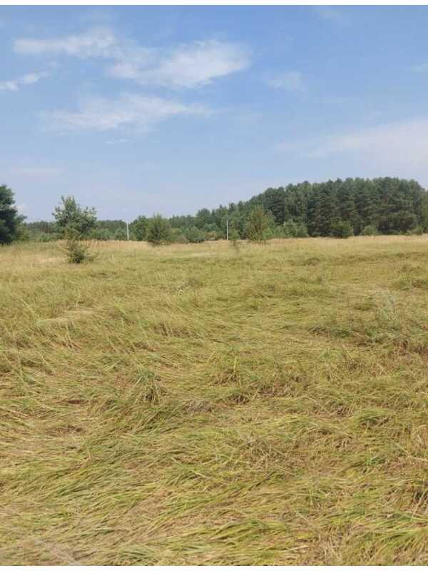 Продам  ділянку під житлову забудову Вишгородський, Ясногородка, Польова. 