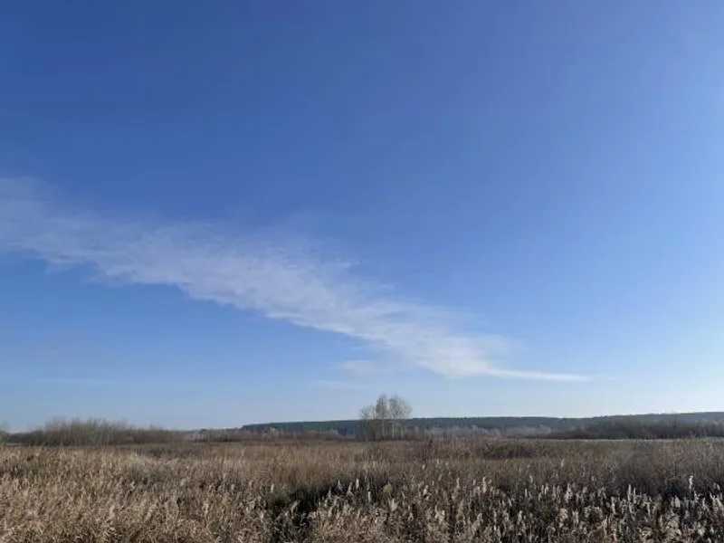 Продам  землю с/г призначення Броварський, Пухівка, Нова. 