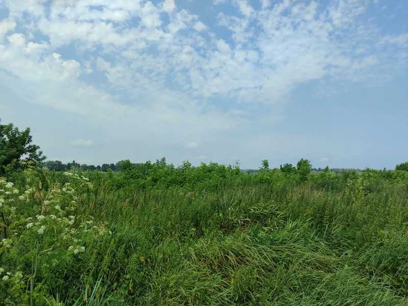 Продам  землю с/г призначення Бучанський, Озера, Нова. 