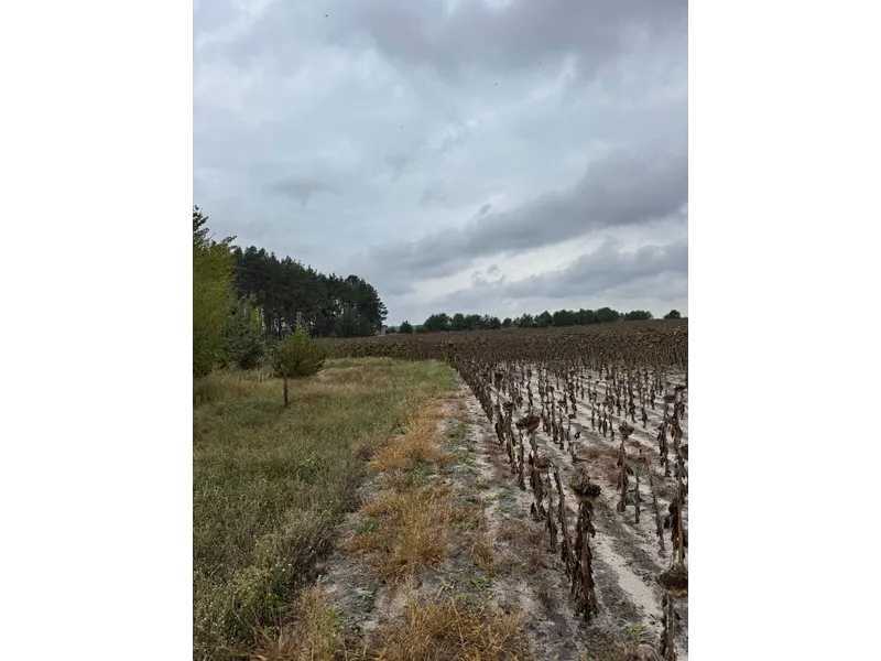 Продам  землю с/г призначення Вишгородський, Литвинівка, Нова. 