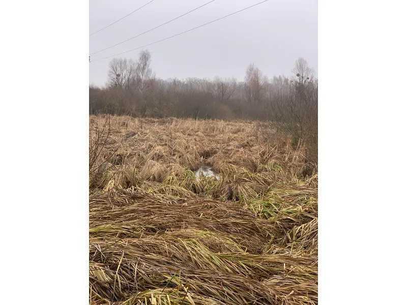 Продам  землю с/г призначення Бориспільський, Головурів, Головурів. 