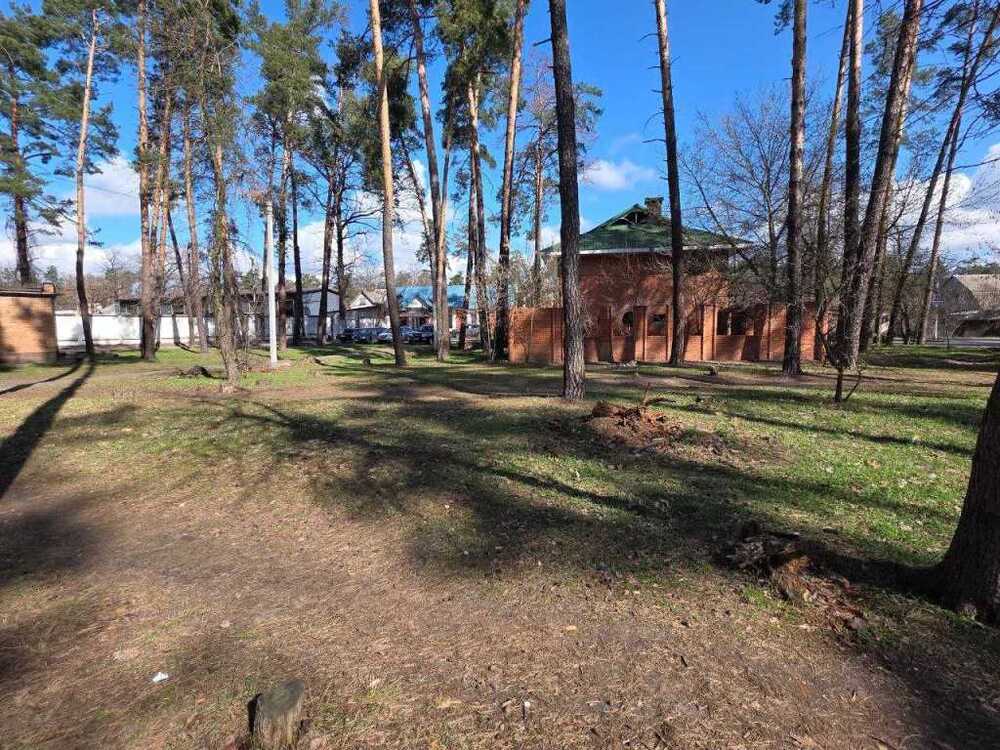 Продам  торгову площу Бучанський, Буча, Гамалия. 