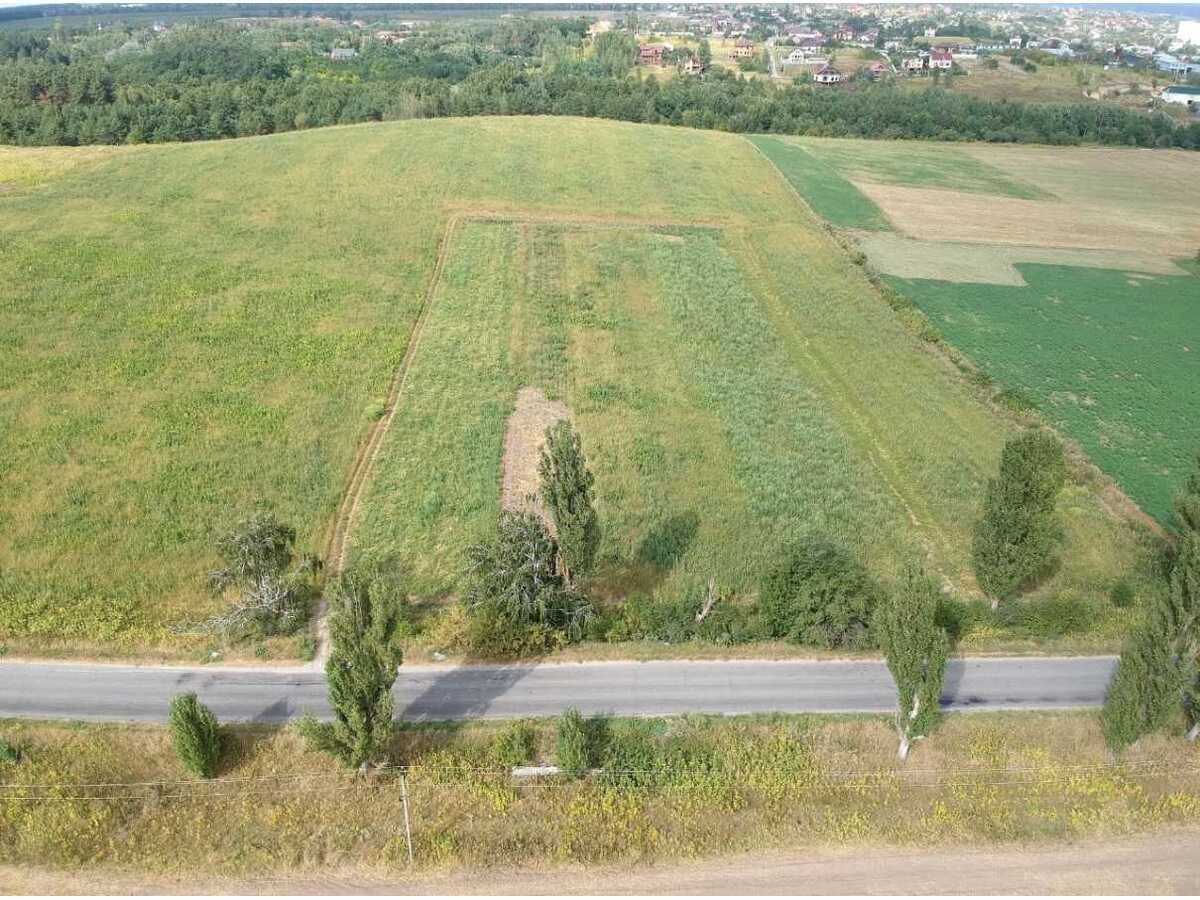 Продам  землю с/г призначення Бучанський, Гореничі, Гореничі. 