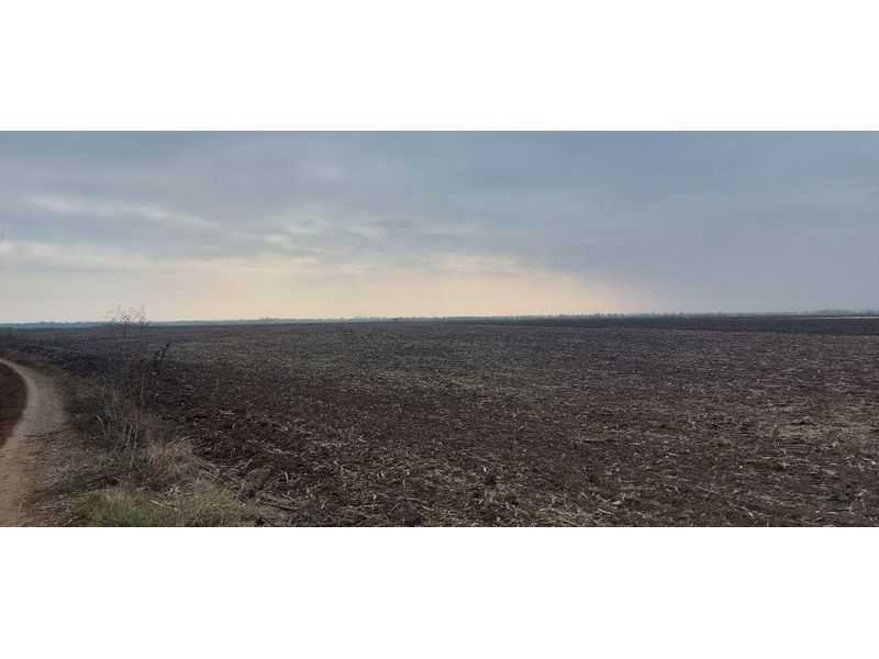 Продам  землю с/г призначення Нововоронцовський, Нововоскресенське, Нова. 