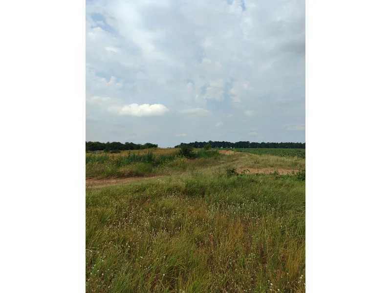 Продам  землю с/г призначення Бучанський, Луб`янка, Нова. 