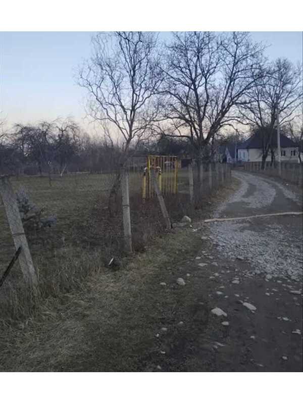 Продам  землю с/г призначення Хустський, Залом, нова. 