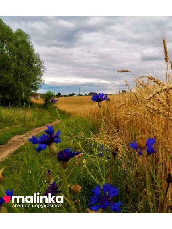 Продам  землю с/г призначення Сколівський, Довжки, Львівська. 