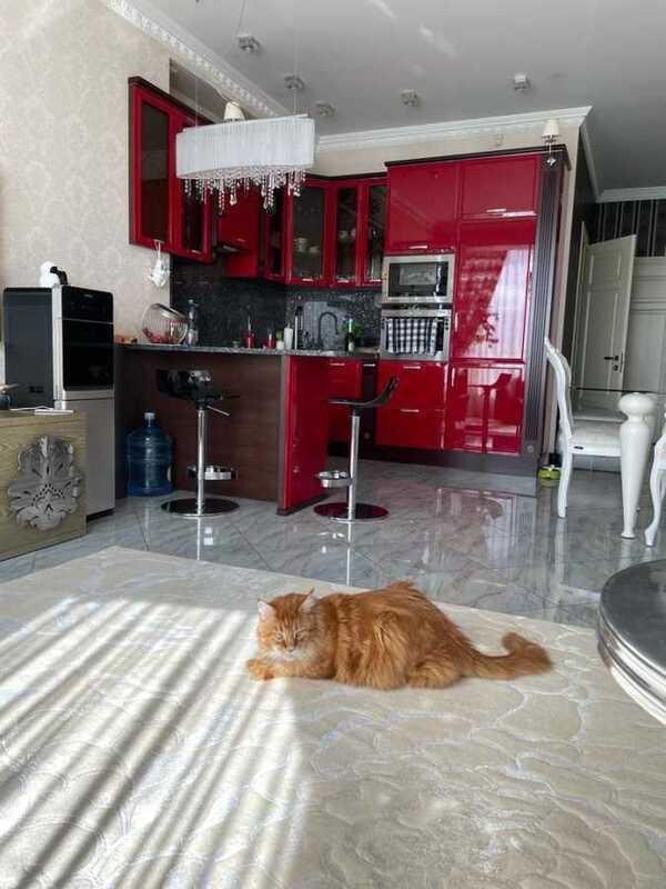 Здам довгостроково 2-к квартиру Київ, Шевченківський, вул. Січових Стрільців, 52а. 