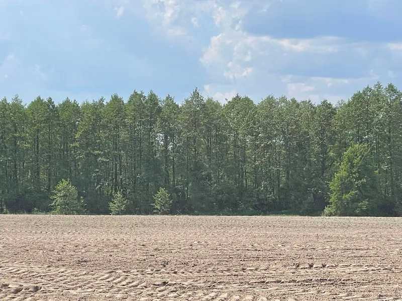 Продам  землю с/г призначення Бучанський, Мар`янівка, Нова. 