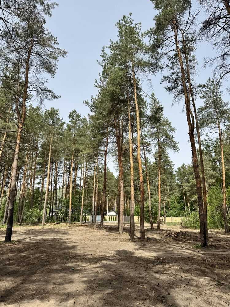 Продам  ділянку під житлову забудову Новомосковський, Піщанка, Садовая. 