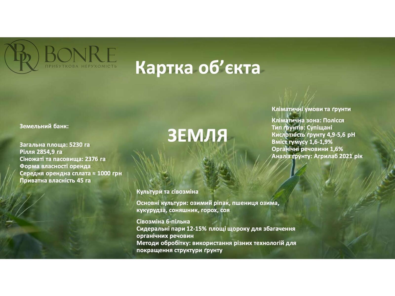 Продаж: Господарство 5230 га Чернігівська обл., Козелецький р-н