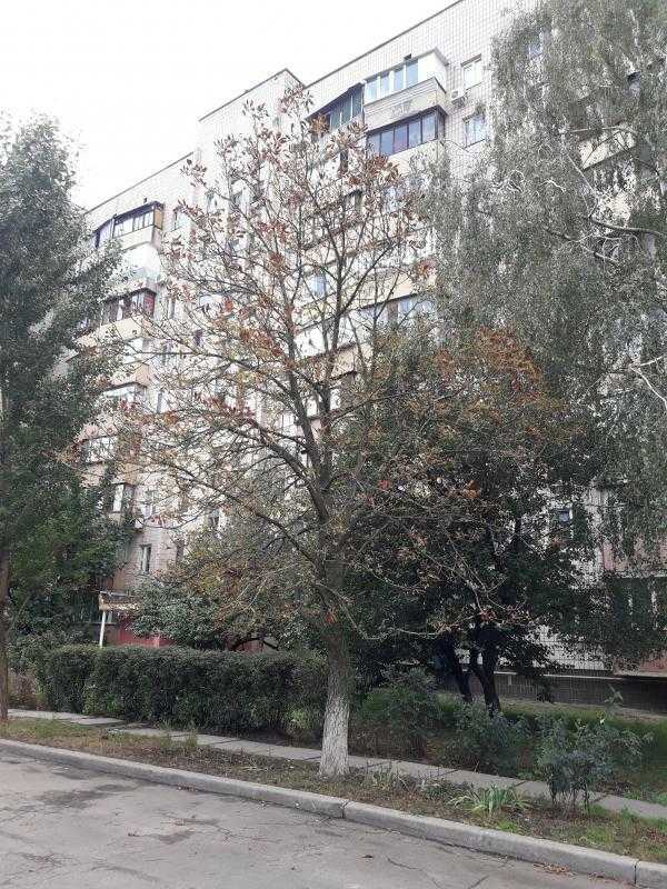 Здам довгостроково 1-к квартиру Київ, Святошинський, вул. Симиренка, 26. 