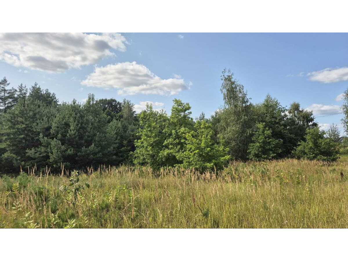 Продам  ділянку під житлову забудову Бучанський, Музичі, Степова. 