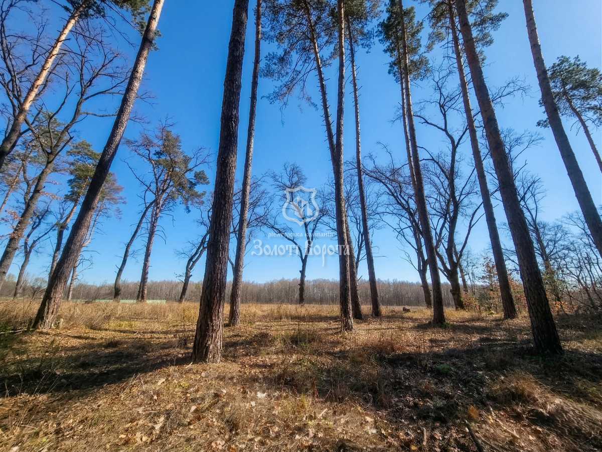 Продам  ділянку під житлову забудову Обухівський, Козин, Соловьяненко Анатолия. 