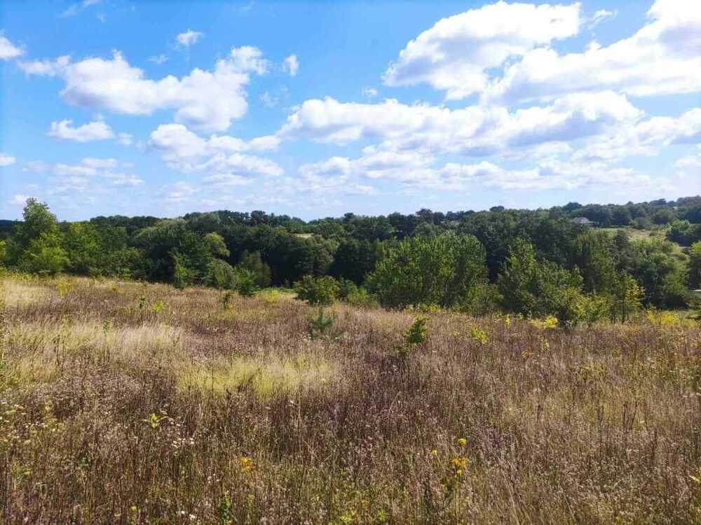 Продам  ділянку під житлову забудову Обухівський, Богуслав, Набережна. 