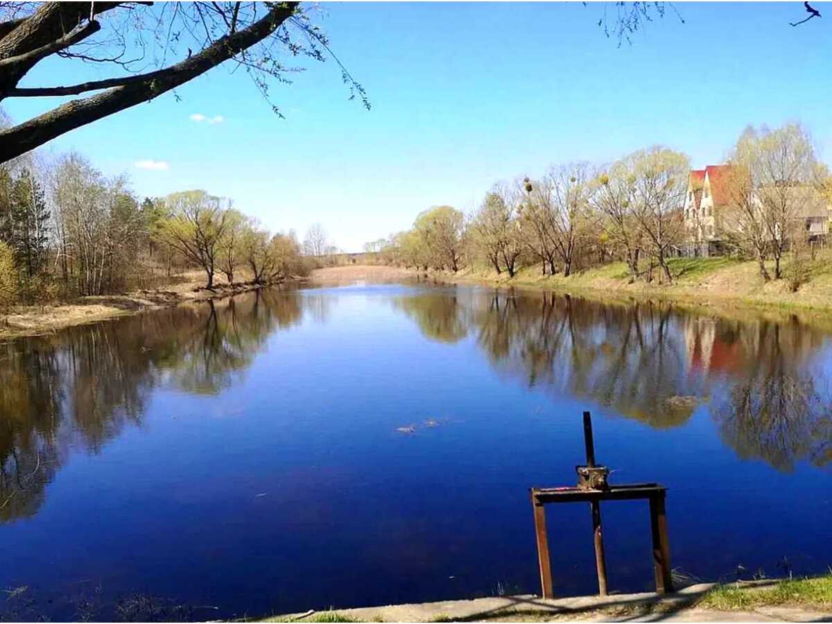 Продам  ділянку під житлову забудову Бучанський, Миколаївка, Миколаївська. 