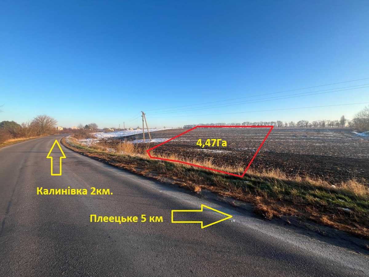 Продам  землю с/г призначення Фастівський, Данилівка, Центральна. 