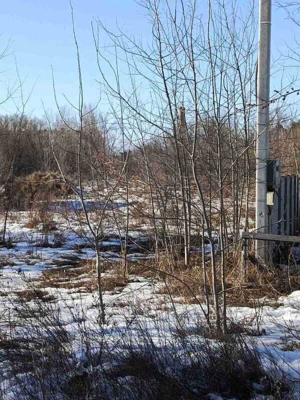 Продам  ділянку під житлову забудову Фастівський, Калинівка, Спортивна. 