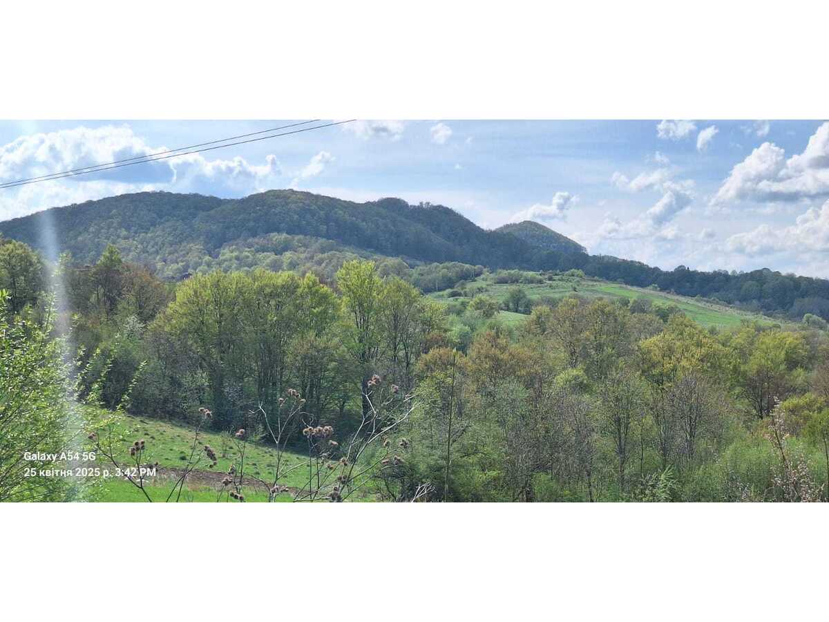 Продам  землю рекреаційного призначення Воловецький, Воловець, Верховинська. 