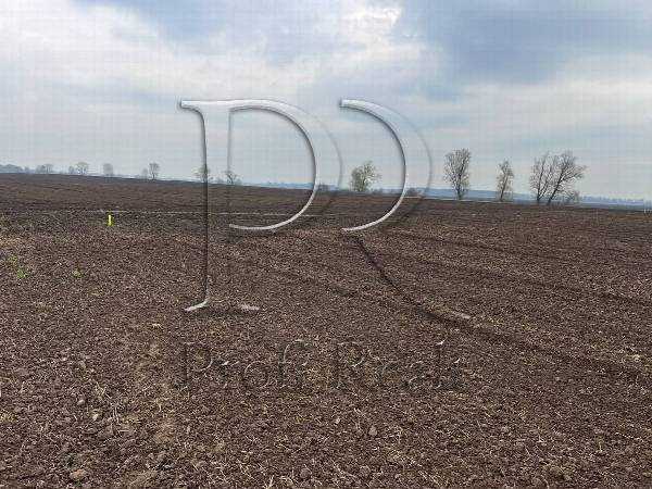 Продам  ділянку під житлову забудову Бориспільський, Бориспіль, Киевская область Украина 08350. 