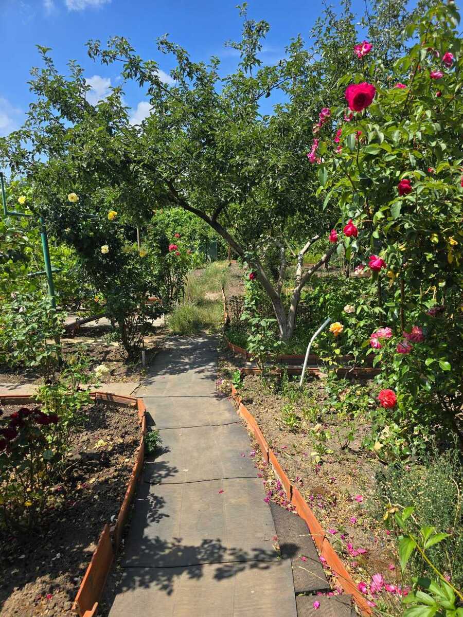 Продам 2-к дачу Білоцерківський, Черкас, Польова. 