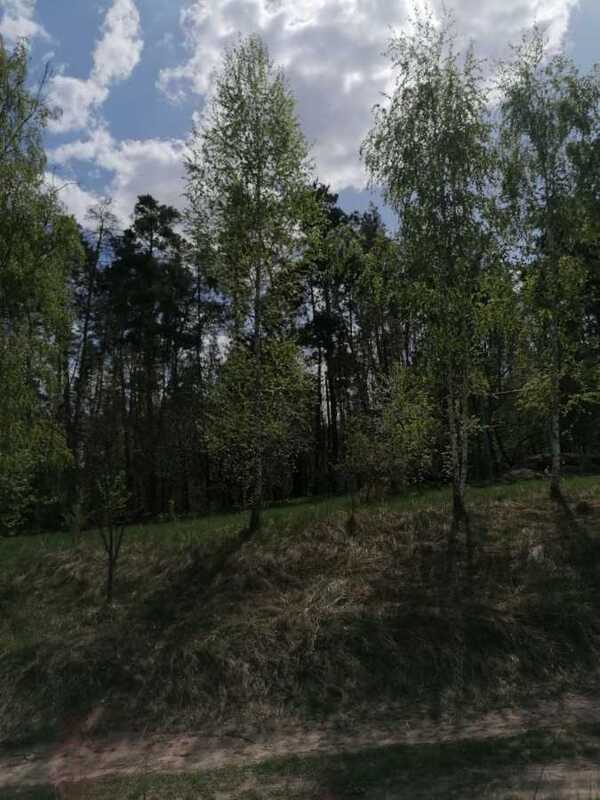 Продам 2-к дім Білоцерківський, Чернин, Попівка. 