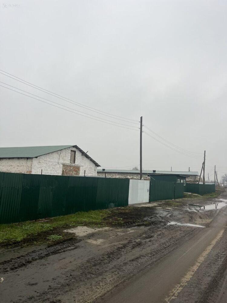 Продаж: Свинокомплекс із діючим бізнесом