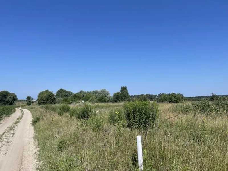 Продам  землю с/г призначення Броварський, Рожівка, Лісна. 
