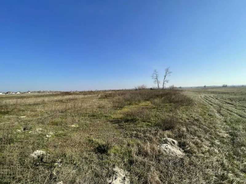 Продам  землю с/г призначення Броварський, Пухівка, Центральна. 