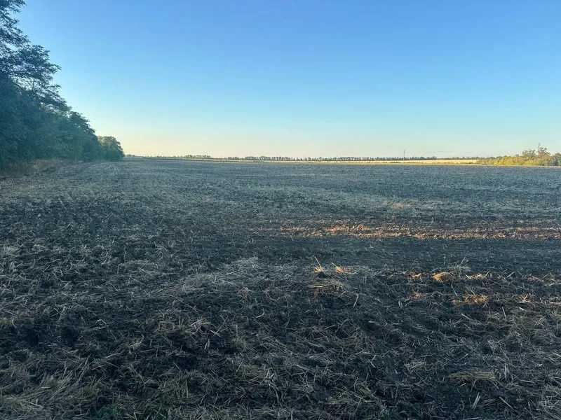 Продам  землю с/г призначення Дніпро, Підгородне, Нова. 