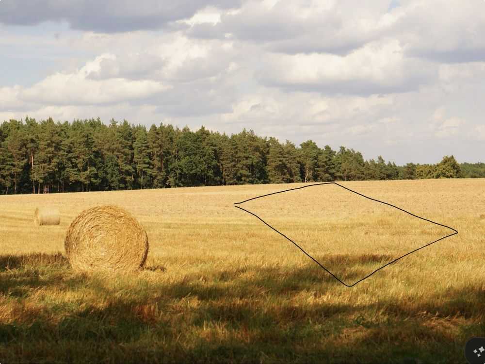 Продам  землю с/г призначення Бучанський, Рожів, Лісова. 