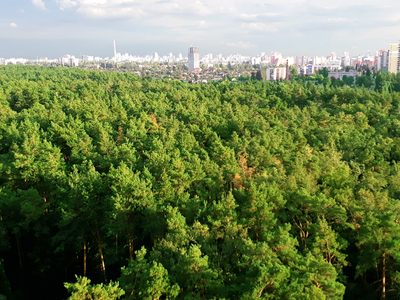 оренда  1-кімнатної квартири в ЖК Атлант-2, Коцюбинське